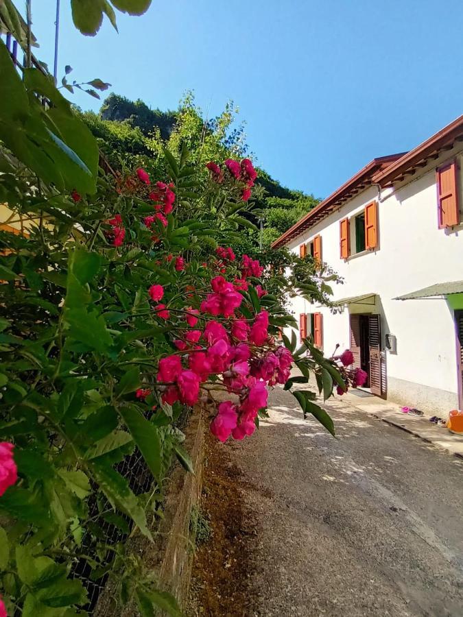 Casolare Trombacco Villa Fabbriche di Vergemoli Buitenkant foto